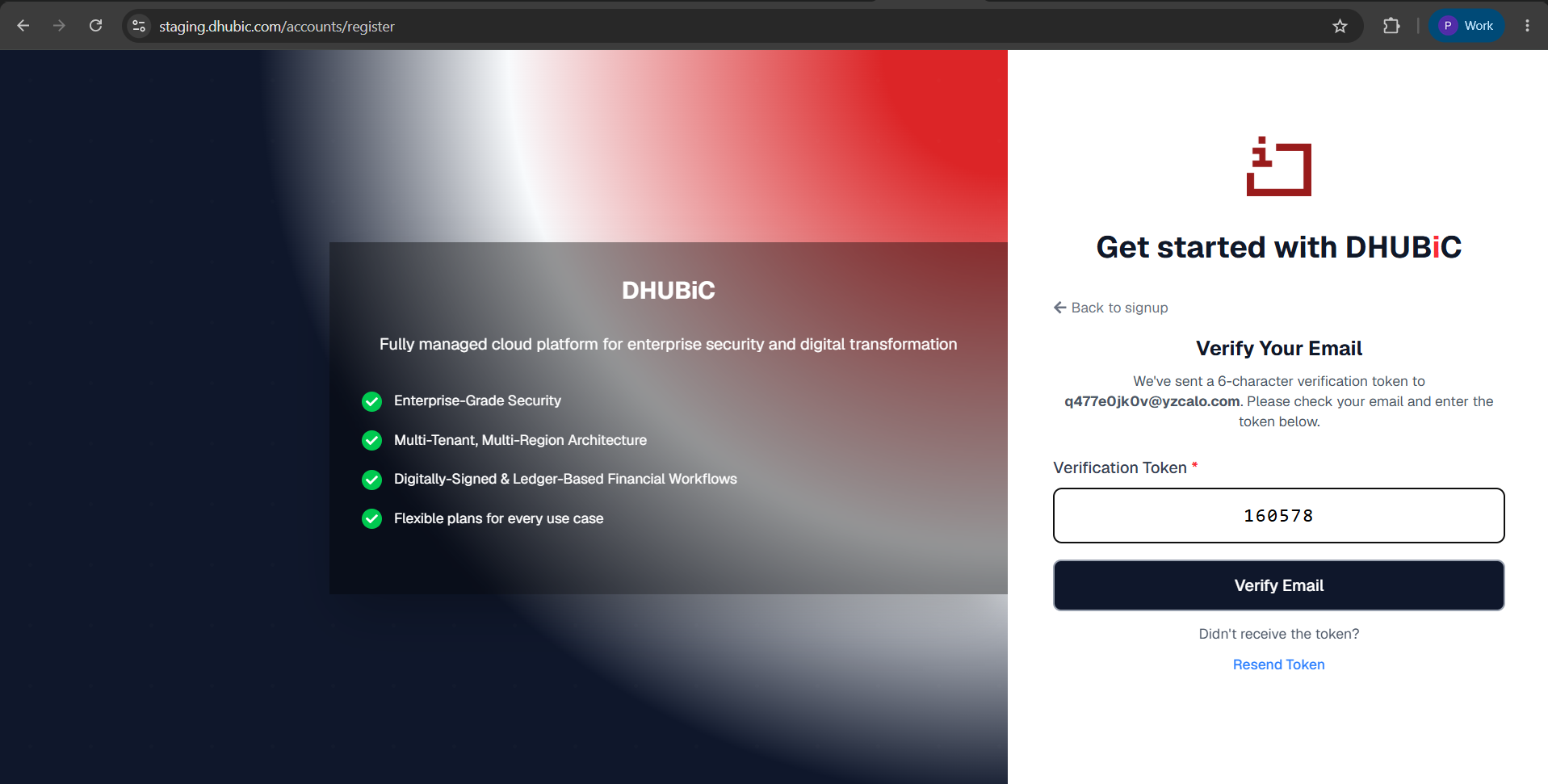 Submit Verification Token screenshot